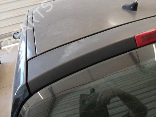 Tailgate RENAULT CLIO III (BR0/1, CR0/1) 1.5 dCi (BR17, CR17) | BP29307300C6 