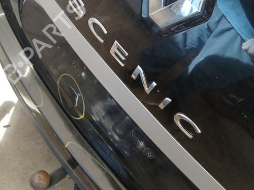 Tailgate RENAULT GRAND SCÉNIC III (JZ0/1_) 1.9 dCi (JZ0J, JZ0N, JZ1K, JZ1S) | BP30144700C6 