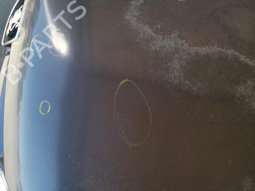 Hood PEUGEOT 306 Hatchback (7A, 7C, N3, N5) 1.9 DT | BP27732195C1 