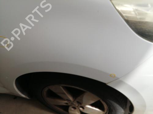 Right front fenders RENAULT SCÉNIC III (JZ0/1_) 1.9 dCi (JZ0J, JZ1J, JZ1K, JZ1S) | BP25741159C42 