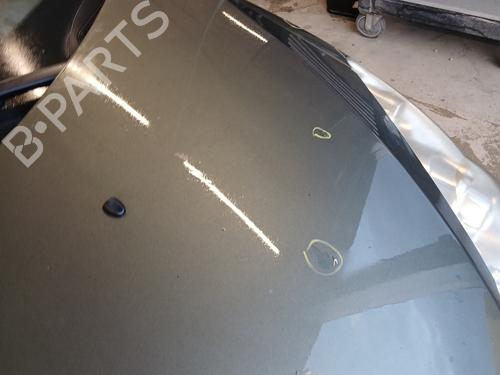 Hood PEUGEOT 307 CC (3B) 2.0 HDi 135 | BP29844868C1