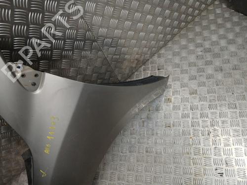 Left front fenders RENAULT MEGANE III Hatchback (BZ0/1_, B3_) 1.5 dCi (BZ09, BZ0D, BZ1W, BZ29, BZ14) | BP30506835C41