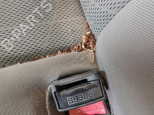 Seat buckle PEUGEOT PARTNER Box Body/MPV 1.6 HDi | BP28491191I32