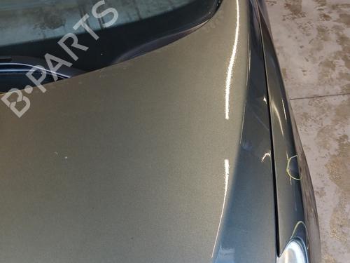 Hood PEUGEOT 307 CC (3B) 2.0 HDi 135 | BP29844868C1