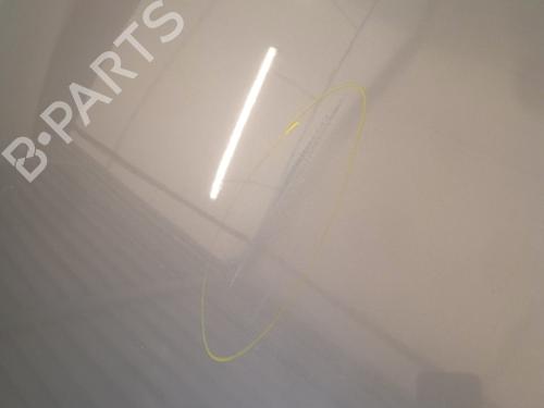 Used Hood VW GOLF PLUS V (5M1, 521) 1.9 TDI (105 hp) 22719011