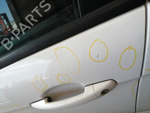 Left front door CITROËN C3 II (SC_) 1.4 HDi 70 (SC8HZC, SC8HR0, SC8HP4) | BP27156673C2 