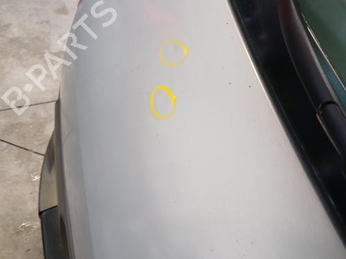 Tailgate RENAULT SCÉNIC II (JM0/1_) 1.9 dCi (JM0G, JM12, JM1G, JM2C) | BP29844759C6 