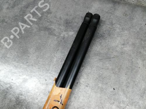 Tailgate lift support CITROËN C4 Picasso I MPV (UD_) 1.6 HDi | BP24503720C138 