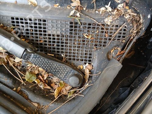 Used Front wiper motor RENAULT GRAND SCÉNIC III (JZ0/1_) 1.9 dCi (JZ0J, JZ0N, JZ1K, JZ1S) (131 hp) 30144738