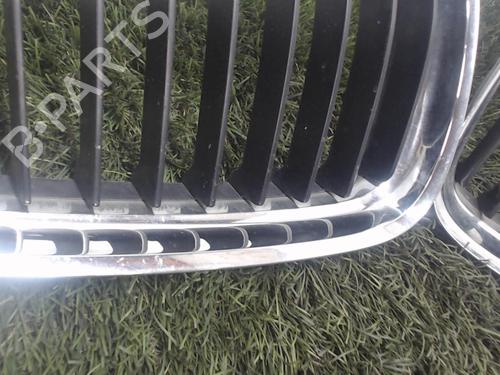 Used Grille BMW 3 Touring (E91) 318 d (143 hp) 20882393