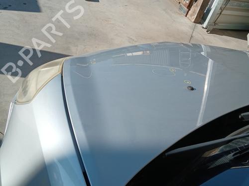Hood RENAULT CLIO III (BR0/1, CR0/1) 1.4 16V | BP29240814C1 