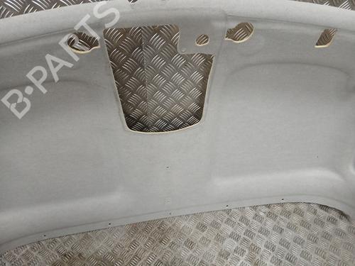Techo interior RENAULT MASTER III Van (FV) 2.3 dCi 145 FWD (FV0E, FV0F, FV0H, FV02, FV0M, FV0S,... | BP31264449I12 