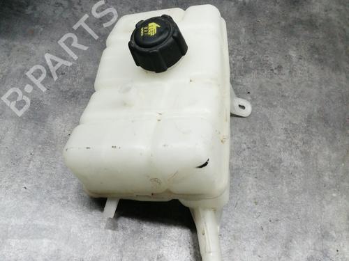 Used Expansion tank RENAULT MEGANE IV Hatchback (B9A/M/N_) 1.5 Blue dCi 95 (B9A2, B9A6) (95 hp) 25142557