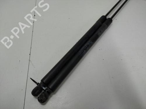 Tailgate lift support FORD KUGA I 2.0 TDCi | BP20905222C138