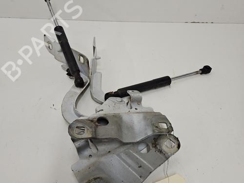 Dørhængsel/Dørbegrænser RENAULT ZOE (BFM_) ZOE (88 hp) 28331673