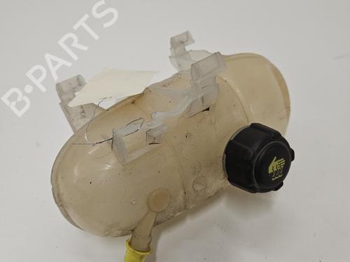 expansion-tank-renault-kangoo-express-fw01_-2008-34521418 main image