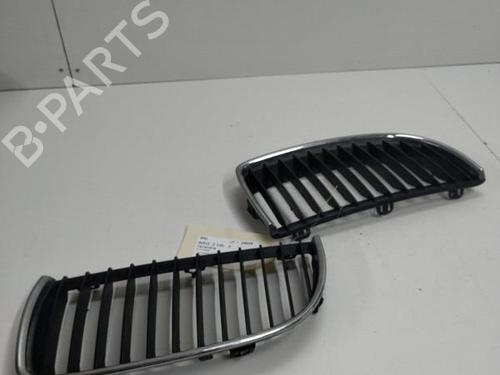 Grille BMW 3 (E90) 320 i | BP20893866C40 