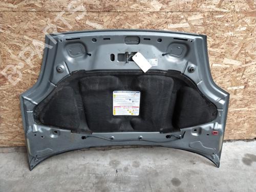 Hood FIAT GRANDE PUNTO (199_) 1.3 D Multijet | BP23843079C1 