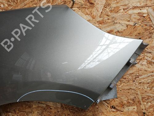 Right front fenders RENAULT SCÉNIC III (JZ0/1_) 1.5 dCi | BP26461988C42 