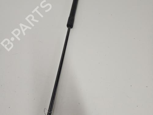 hood-lift-support-renault-megane-iii-hatchback-bz01_-b3_-2008-33849213 main image