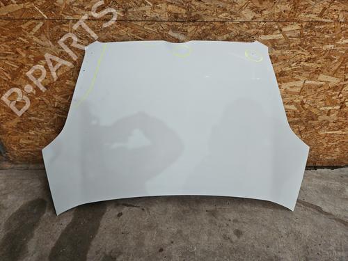 Capot OPEL COMBO Box Body/MPV (X12) 1.3 CDTI (B05) (95 hp) 31020046