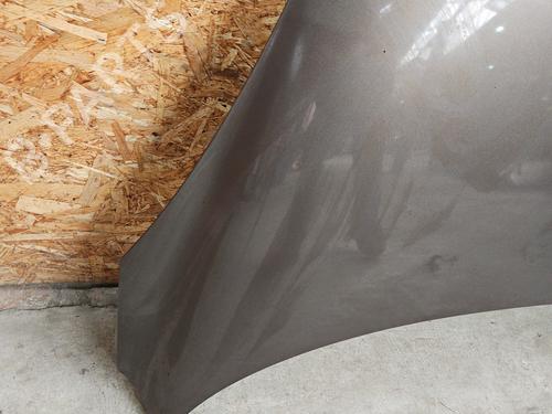 Hood RENAULT SCÉNIC III (JZ0/1_) 1.6 dCi (JZ00, JZ12) | BP27167203C1