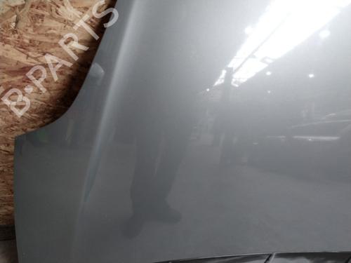 Hood FIAT GRANDE PUNTO (199_) 1.3 D Multijet | BP23843079C1 