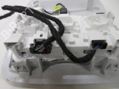 Interior roof light PEUGEOT 208 I (CA_, CC_) 1.6 HDi | BP20894906I8 