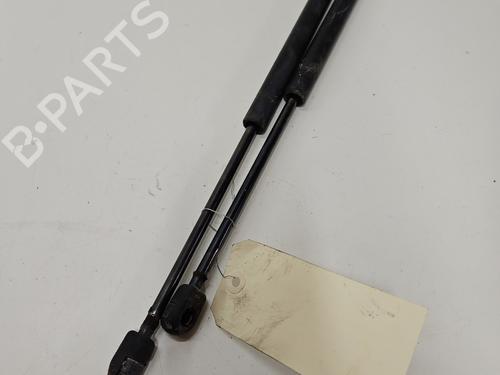 Used Tailgate lift support RENAULT CLIO II (BB_, CB_) 1.5 dCi (B/CB07) (65 hp) 29978806