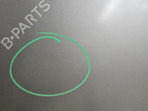 Hood RENAULT CLIO III (BR0/1, CR0/1) 1.5 dCi (BR17, CR17) | BP29895692C1