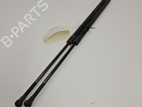 tailgate-lift-support-renault-grand-scenic-iii-jz01_-2009-2010-2011-2012-2013-2014-2015-2016-30865161 main image