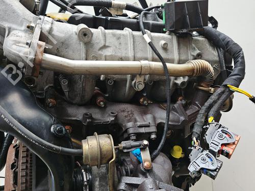 Engine PEUGEOT EXPERT Van (222) 2.0 HDI | BP29392534M1 