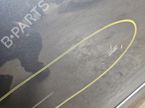 Right front door FORD S-MAX (WA6) 2.0 EcoBoost | BP28503742C3