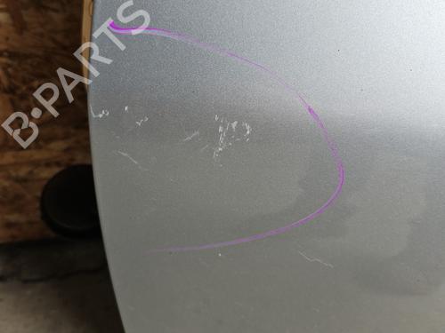 Left front door PEUGEOT 206 Hatchback (2A/C) 1.4 HDi eco 70 | BP25701032C2 