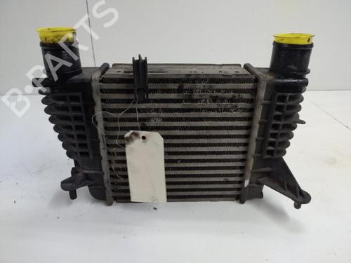 Intercooler RENAULT CLIO III Grandtour (KR0/1_) 1.5 dCi (KR0G) | BP22109464M30 
