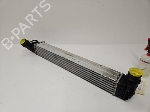 Ladeluftkühler für RENAULT GRAND SCÉNIC III (JZ0/1_) 1.5 dCi (JZ09, JZ0D, JZ10, JZ14, JZ1G, JZ29, JZ2C) (110 hp) 30865170