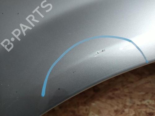 Right front fenders RENAULT MEGANE II (BM0/1_, CM0/1_) 1.5 dCi (BM02, BM13, BM2A, CM02, CM13) | BP20888583C42 
