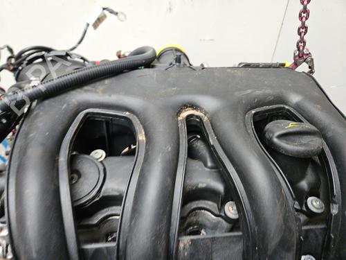 Engine CITROËN BERLINGO / BERLINGO FIRST Box Body/MPV (M_) 1.9 D 70 (MBWJZ, MCWJZ) | BP30046114M1 