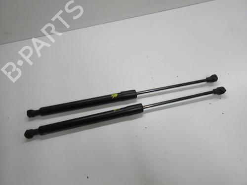 Used Tailgate lift support RENAULT ZOE (BFM_) ZOE (88 hp) 20896711