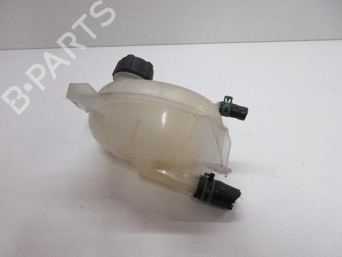 Expansion tank RENAULT CLIO IV (BH_) 1.5 dCi 75 | BP20902966C120 