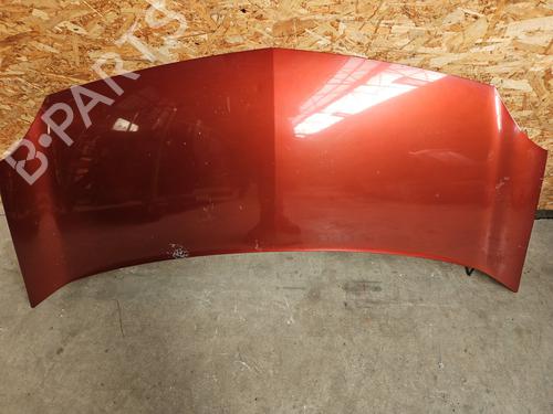 Used Hood RENAULT KANGOO / GRAND KANGOO II (KW0/1_) 1.5 dCi 90 (KW05, KW08, KW0G, KW11) (90 hp) 29372245