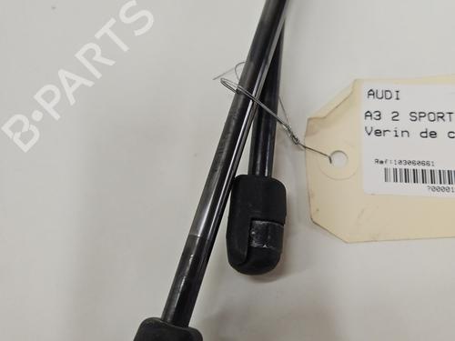 Tailgate lift support AUDI A3 Sportback (8PA) RS3 quattro | BP24512411C138 