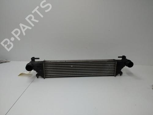 Used Intercooler Intercooler FIAT TIPO Estate (356_, 357_) 1.3 D (356WXH1A) (95 hp) 20893940 20893940