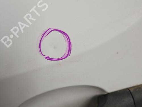 Left front door RENAULT KANGOO Express (FW0/1_) Z.E. (FW0Z, FW1Z) | BP28006059C2 