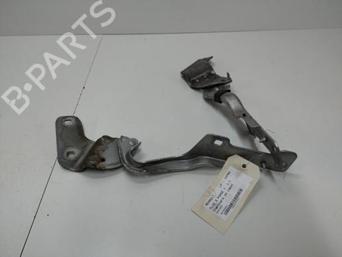 Used Hinge/Door check strap RENAULT CLIO III (BR0/1, CR0/1) 1.5 dCi (BR17, CR17) (86 hp) 20905136