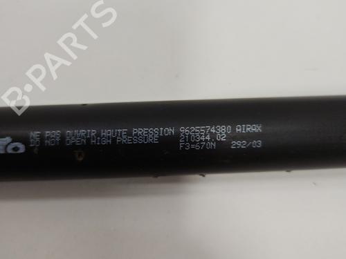 Tailgate lift support PEUGEOT PARTNER MPV (5_, G_) 2.0 HDI | BP29549745C138 