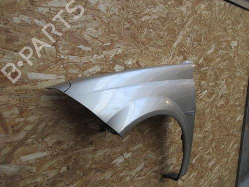 Left front fenders RENAULT MEGANE II Coupé-Cabriolet (EM0/1_) 1.9 dCi | BP20891630C41 