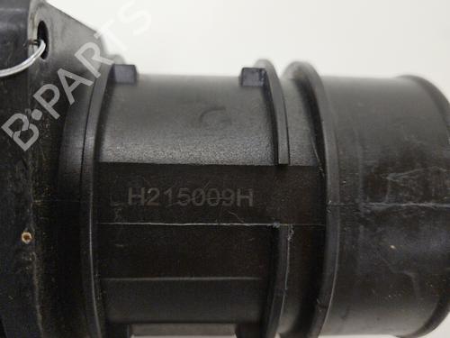 Mass air flow sensor RENAULT ESPACE IV (JK0/1_) 2.2 dCi (JK0H) | BP29196690M95 