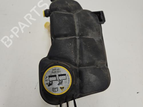 Used Expansion tank FORD S-MAX (WA6) 2.0 EcoBoost (203 hp) 28572795