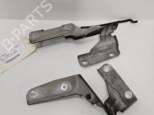 hingedoor-check-strap-citroen-c4-i-lc_-2004-2005-2006-2007-2008-2009-2010-2011-2012-2013-2014-38009266 main image
